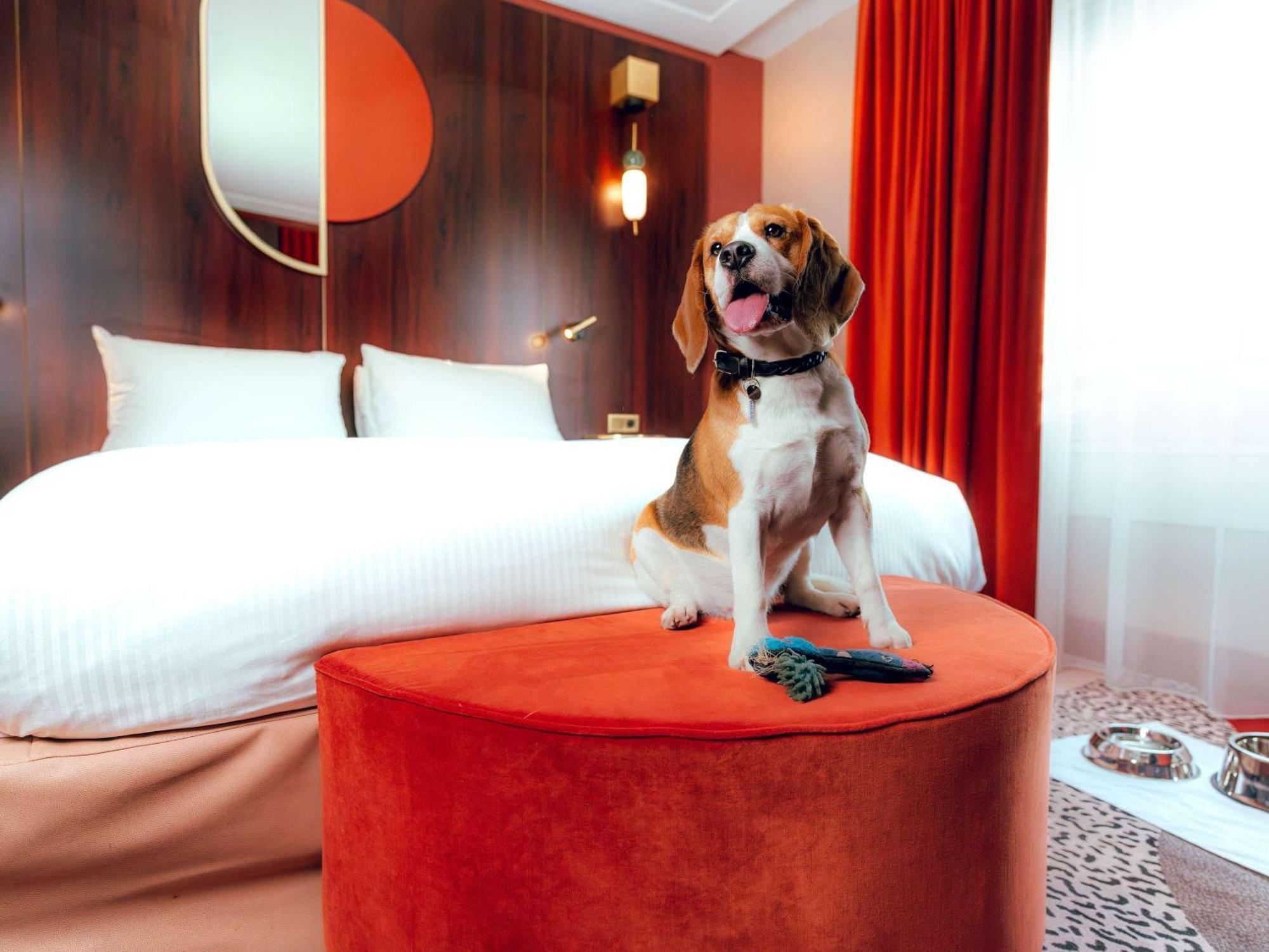 פוטו Nest Paris La Defense - Mgallery מראה חיצוני תמונה A dog in a hotel room